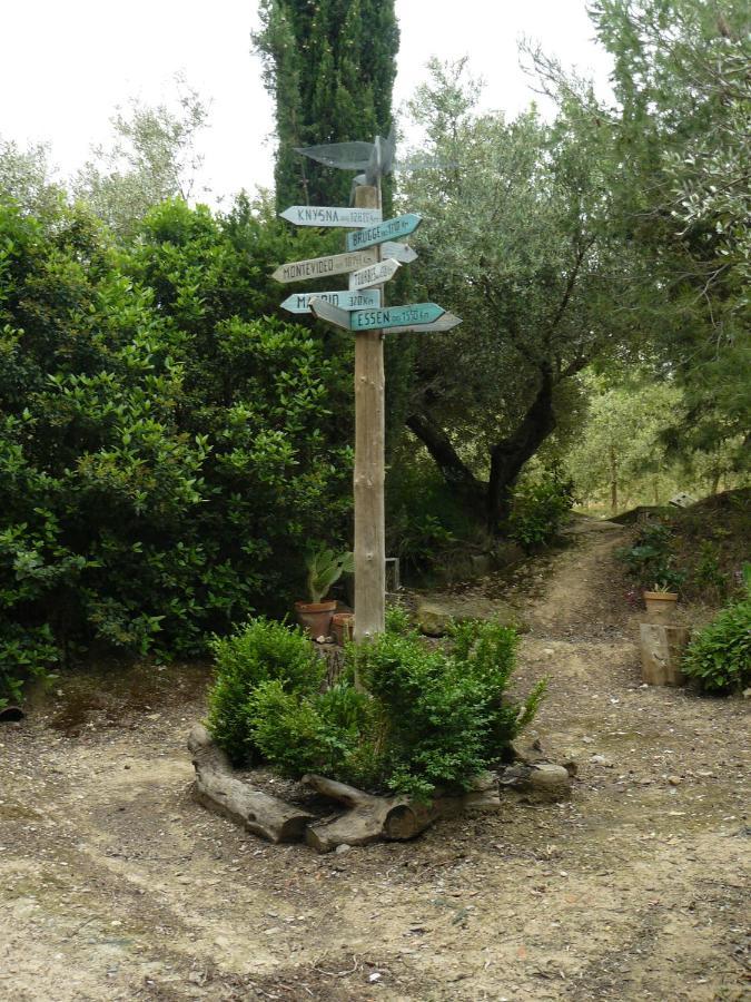 Гостевой дом Casa Rural Torre De Campos Аинсон Экстерьер фото